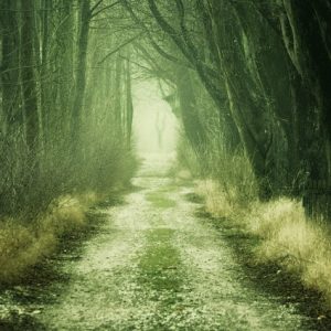 PAST LIFE REGRESSION & SOUL MEMORY WORKSHOP